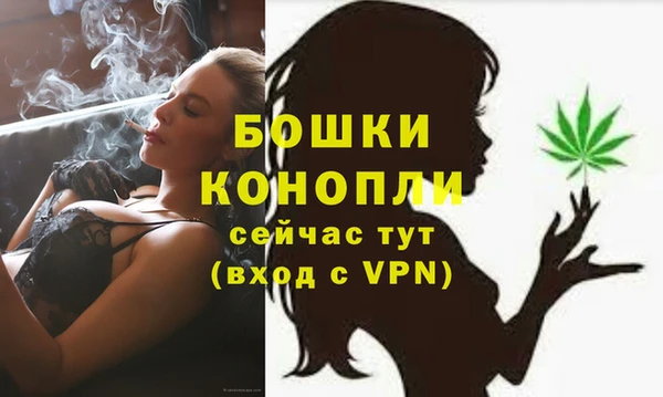 ПСИЛОЦИБИНОВЫЕ ГРИБЫ Балабаново